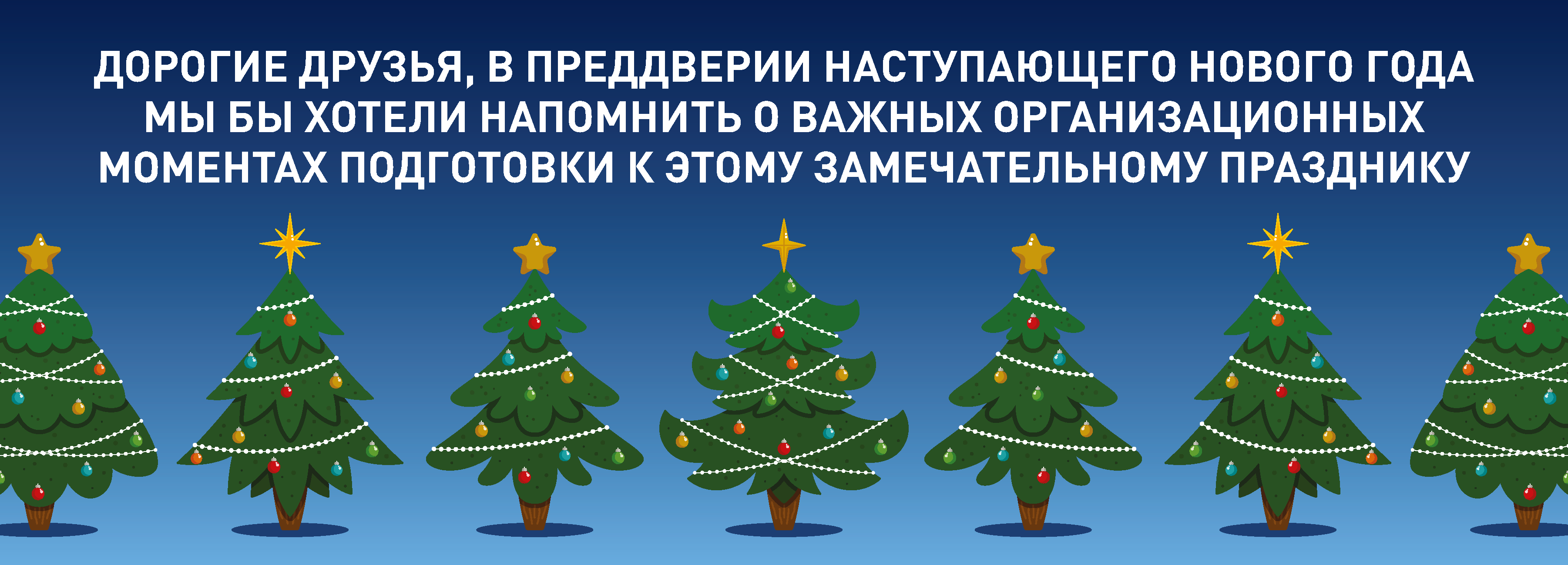 Как правильно выбрать новогоднее дерево? » Информационный портал ЖК София